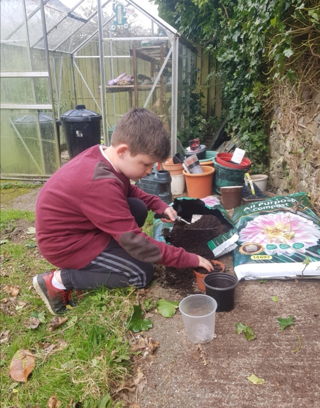 Screenshot 20200416 092520